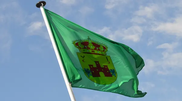 bandera verde
