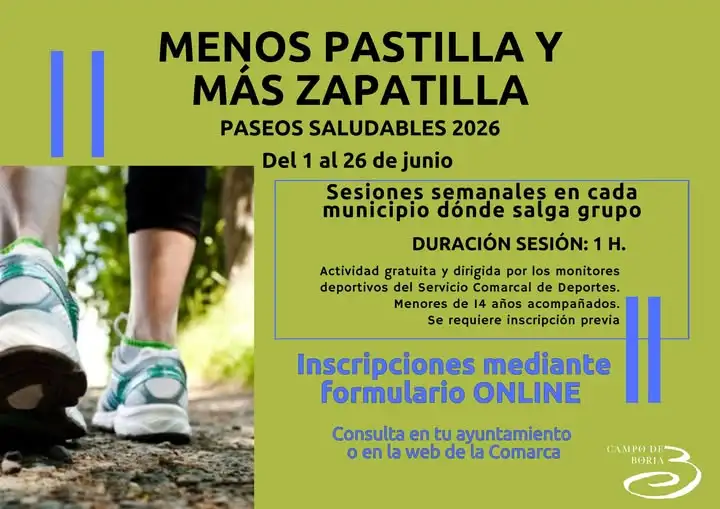 zapatillas