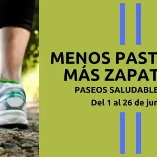 zapatillas