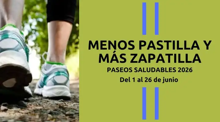 zapatillas
